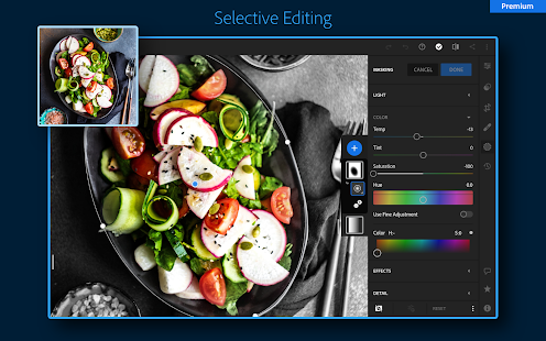 Adobe Lightroom: Photo Editor Screenshot