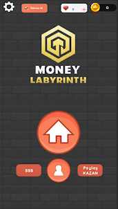 Money Labyrinth