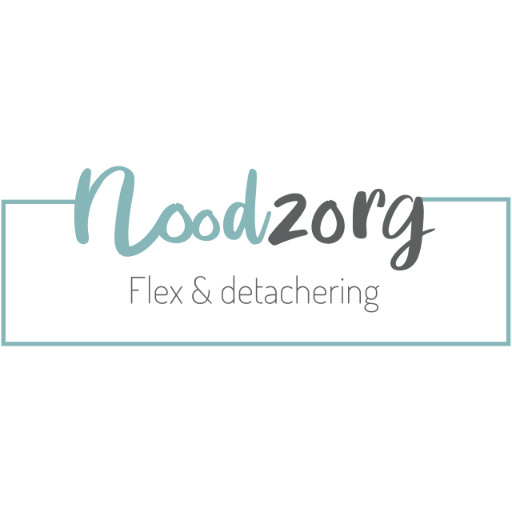 Nood-Zorg Flex&detachering logo
