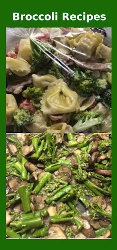 Broccoli Recipes