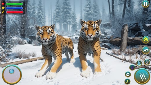 Android application Wild Tiger Animal Survival Sim screenshot