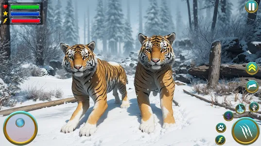 Wild Tiger Animal Survival Sim