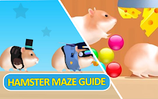 Guide For Hamster Maze:Noob to Proのおすすめ画像3