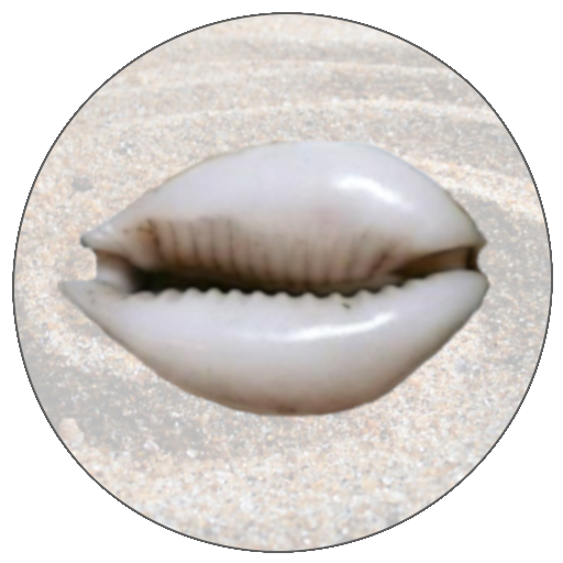 Voodoo Oracle logo