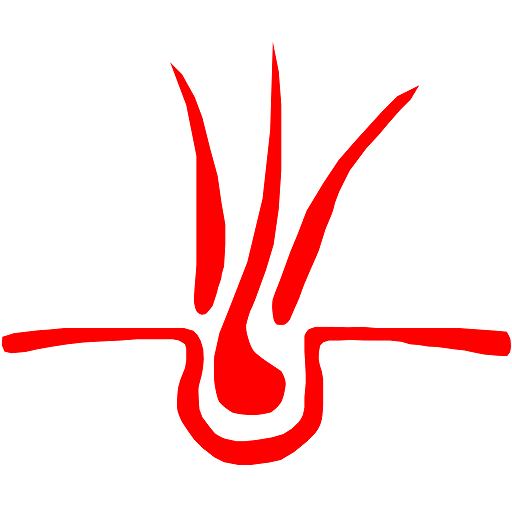 RedHair logo