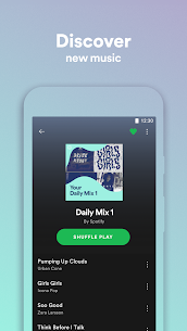 SPOTIFY LITE for PC 3