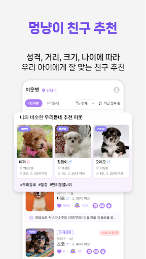 우주펫 - 펫시터 주고받는 펫 돌봄 강아지 산책친구