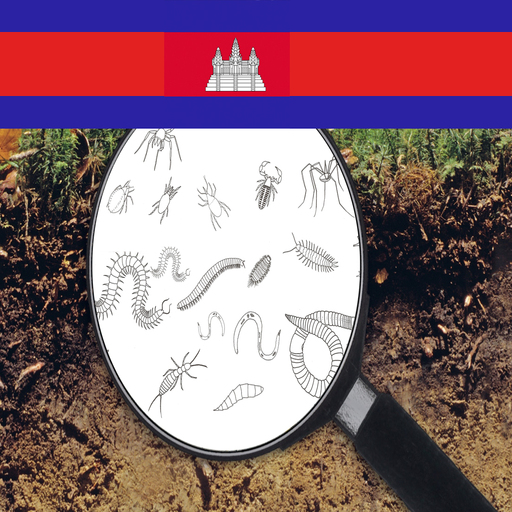 soil Fauna logo