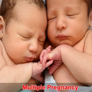 Multiple Pregnancy apk