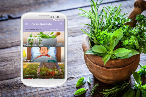 Plantas Medicinales y Medicina