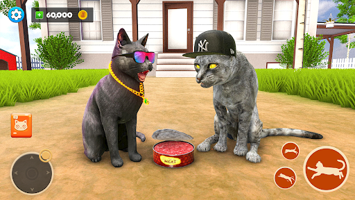 Bad Cat Annoying Granny Prank