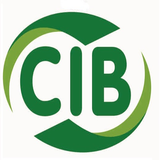 Colégio Irene Borges Coordenação