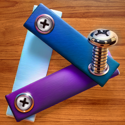 Screws Nuts and Bolts Puzzle