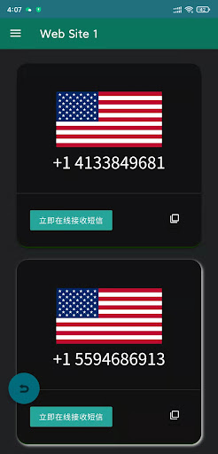 SMS-Activate -sms verify Screen 2