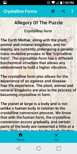 The Allegory of The Puzzle