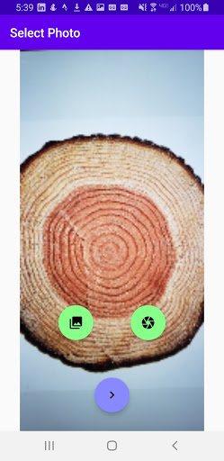 TreeRings Screen 2