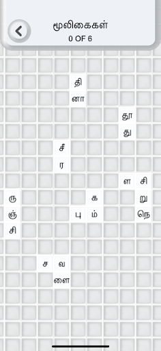 Tamil Word Puzzle Game Screen 3