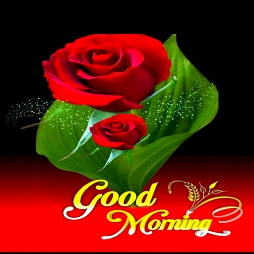 Good Morning Good Night 2023 Apps on Google Play