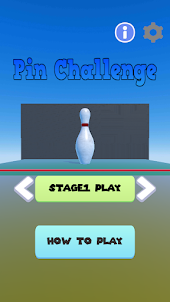 Pin Challenge