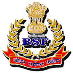 Cover Image of Baixar BSF PAY&GPF 3.0 APK