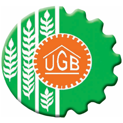 DISA UKGB logo