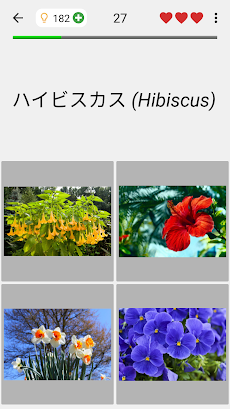 花 - 美しい植物についての植物のクイズのおすすめ画像4