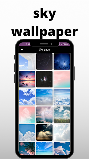 Wallpaper - Background