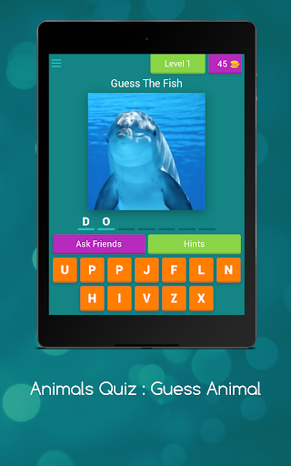 Guess The Animal Quiz