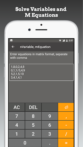 Screenshot of Linear Equation System Solver
