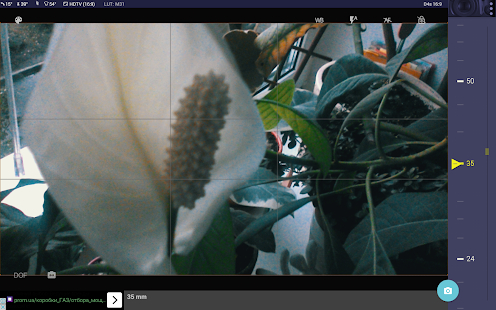 Magic Nikon ViewFinder Free Screenshot
