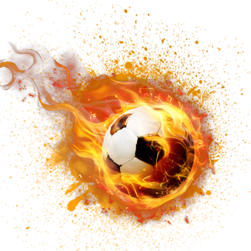 Winner Betting Tips logo