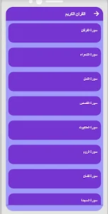 احمد العجمي  بدون نت القران ج3