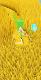 screenshot of Grass Cut - Merge