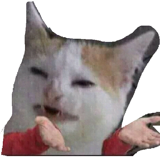 Funny cats memes stickers WAstickerapps