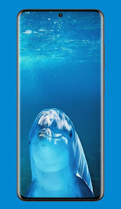 Dolphin Background:HD Pictures 2 APK + Мод (Unlimited money) за Android