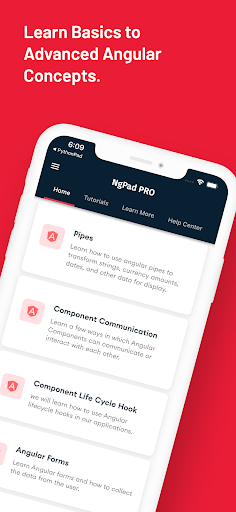 Screenshot of Learn Angular: AngularDev PRO