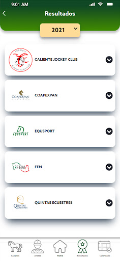 Federación Ecuestre Mexicana Screen 3