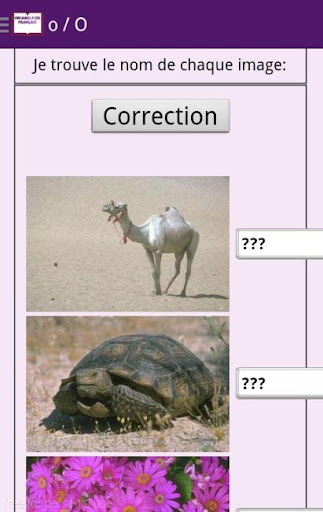 French vocabulary exercises