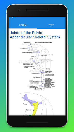 Logo https://play-lh.googleusercontent.com/DS8LyGQCsYUYoHpmfqfRqmz_miJYmeDClEg9_RpOnHUXFSnVQlLLC7OPY6BAqyYBfV8