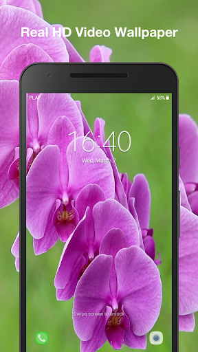 Orchids Live Wallpaper Pro Screen 3