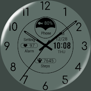 Multicolor ZKin Watch