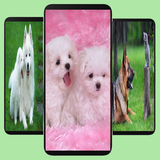 Dogs Wallpapers logo