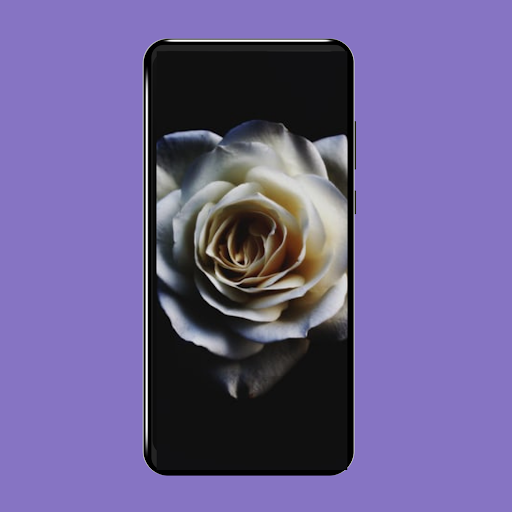 خلفيات ورد Screen 3