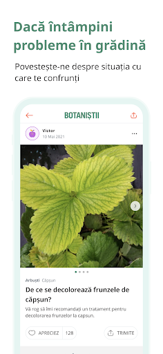 Botanistii Screen 3