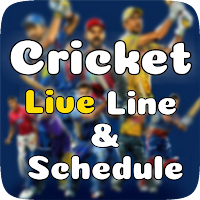 Live Cricket Score - IPL Live Score Schedule 2021