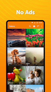 Simple Gallery - Photo Albums  Screenshots 1