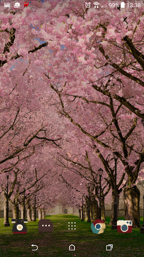 春の桜のライブ壁紙 Cherry Blossom Liveのおすすめ画像5