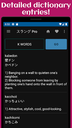 Japanese Slang Pro Screen 2