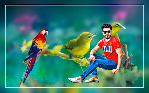 Bird photo editor frames screenshot 11