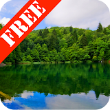 Forest Lake Free icon